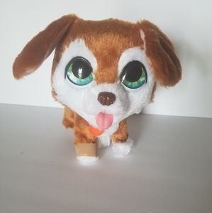 Dog toy